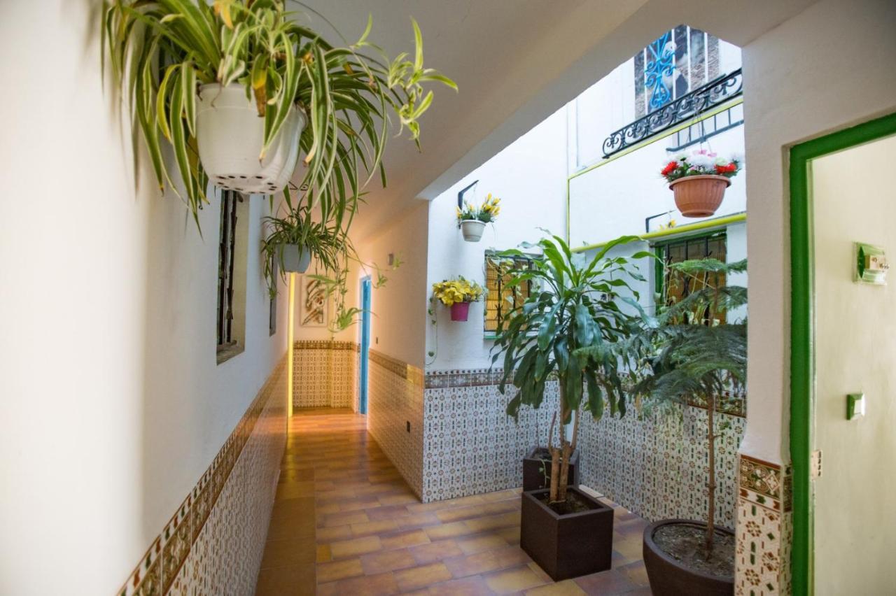 Apartamentos Carihuela Τορρεμολίνος Εξωτερικό φωτογραφία